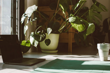 can an online retreat really help you reset?