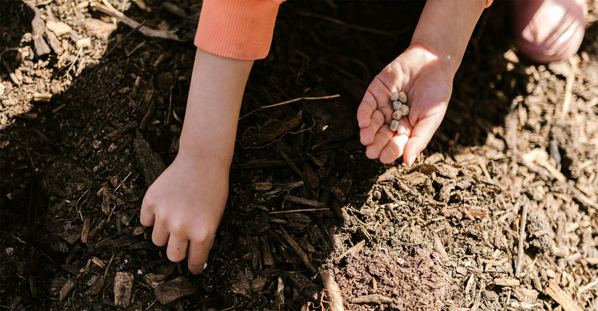 the law of compensation: seeds, soil, and the harvest you create