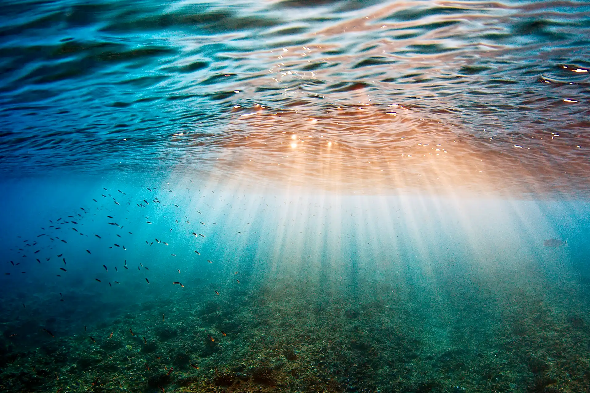 Intuitive Reading - Clarity Session