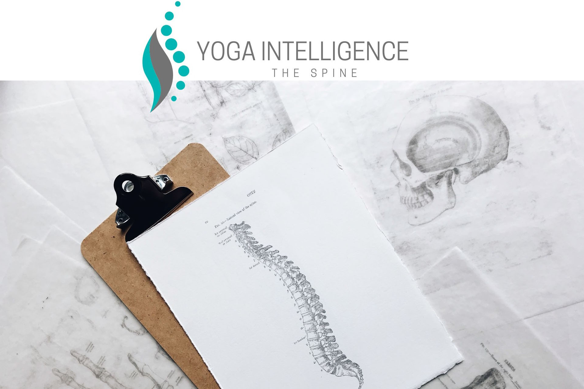 Yoga Intelligence Masterclass - The Spine